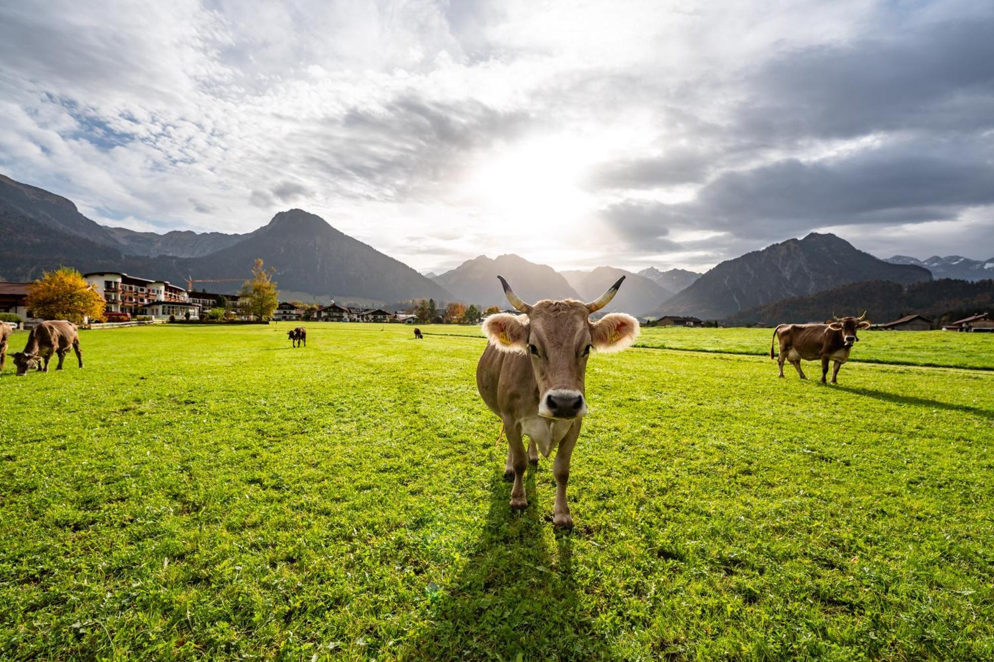 Best Western Plus Hotel Alpenhof Oberstdorf Exterior photo